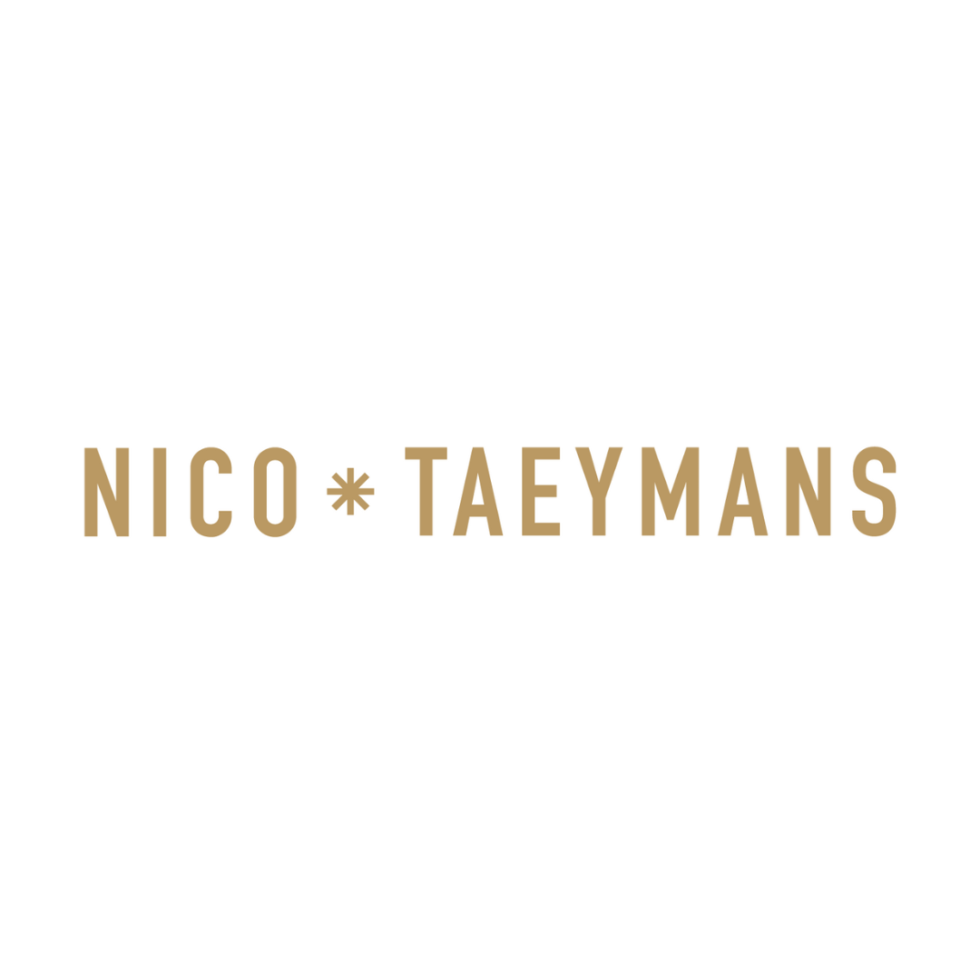 Logo Nico Taeymans