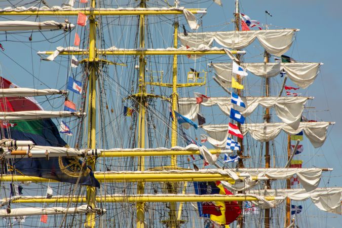 The Tall Ships meren aan in Antwerpen